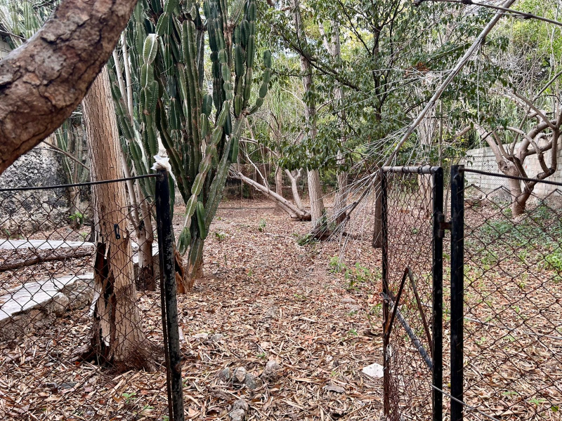 Casa En Venta En Garcia Gineres