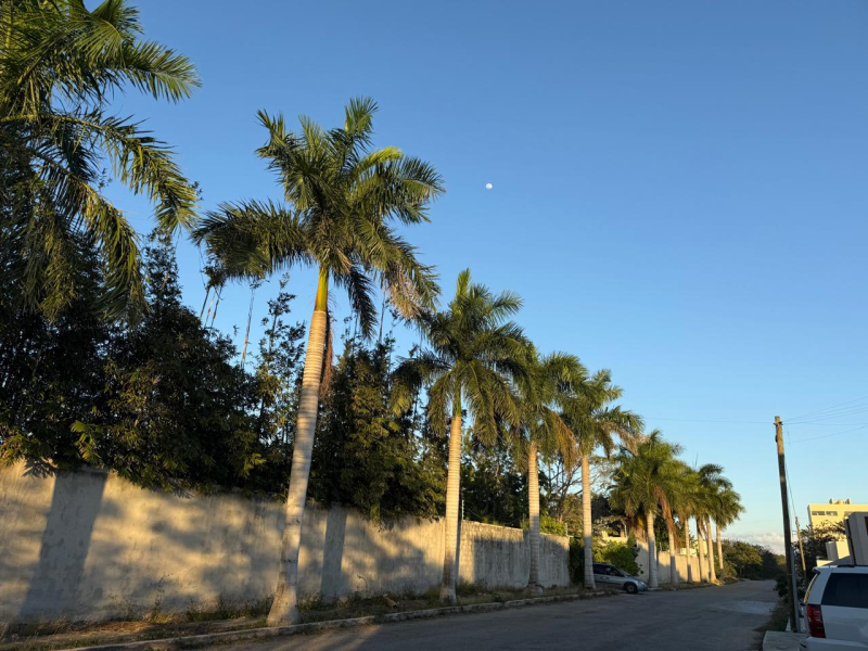 Casa En Renta En Temozón Norte 