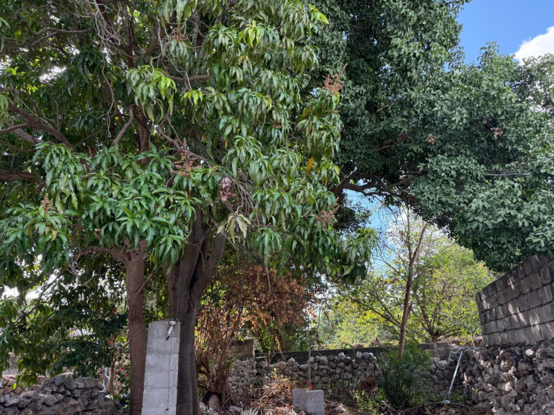 Casa En Venta En El Centro Histórico De Mérida