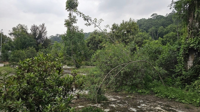venta terreno iztapalapa