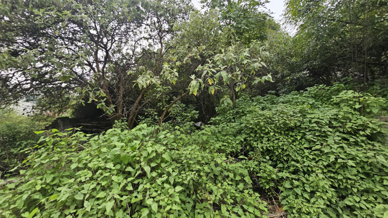 venta terreno iztapalapa