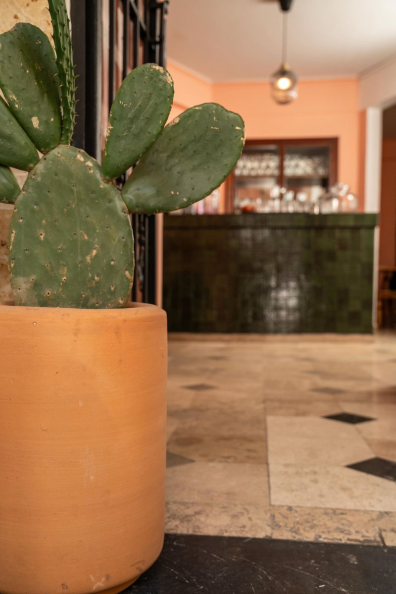 traspaso de local en la juárez 