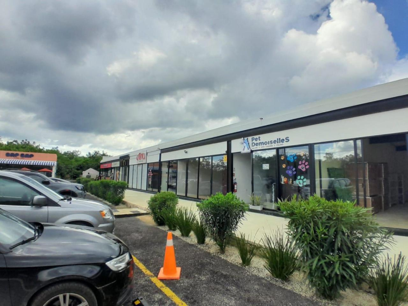 Local Comercial En Renta En Dzityá 