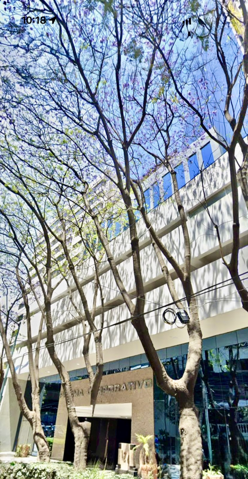 OFICINAS CORPORATIVAS EN RENTA EN LOMAS DE CHAPULTEPEC 