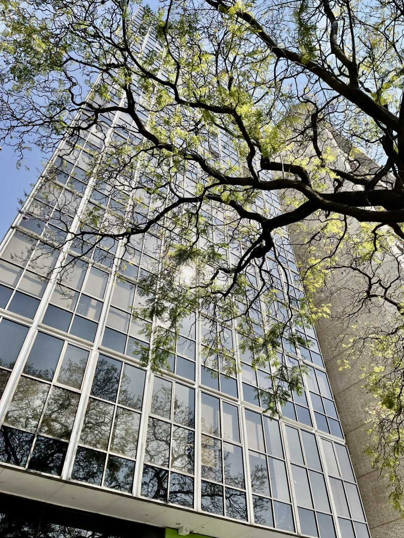 consultorio medico  en venta en lomas de chapultepec