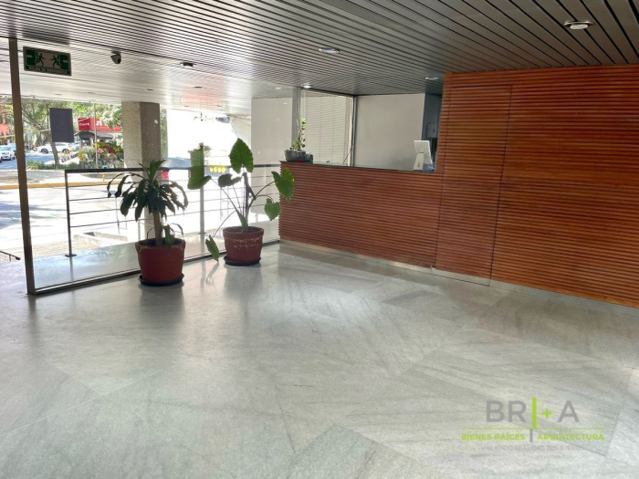 Oficina En Renta En La Condesa, Nuevo León