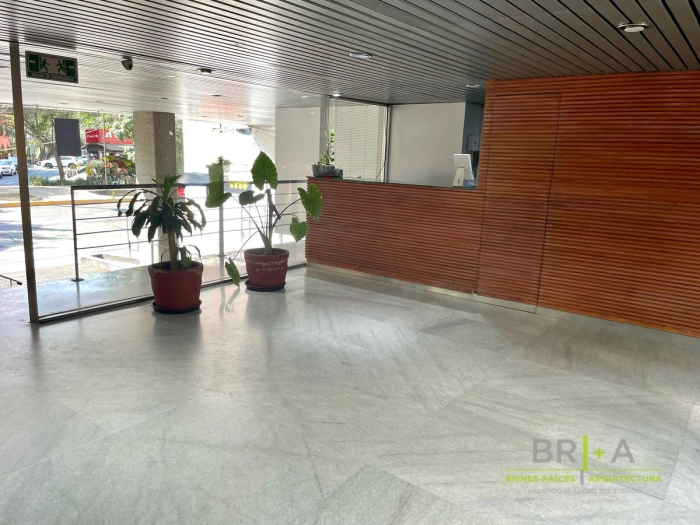 Oficina En Renta En La Condesa, Nuevo León