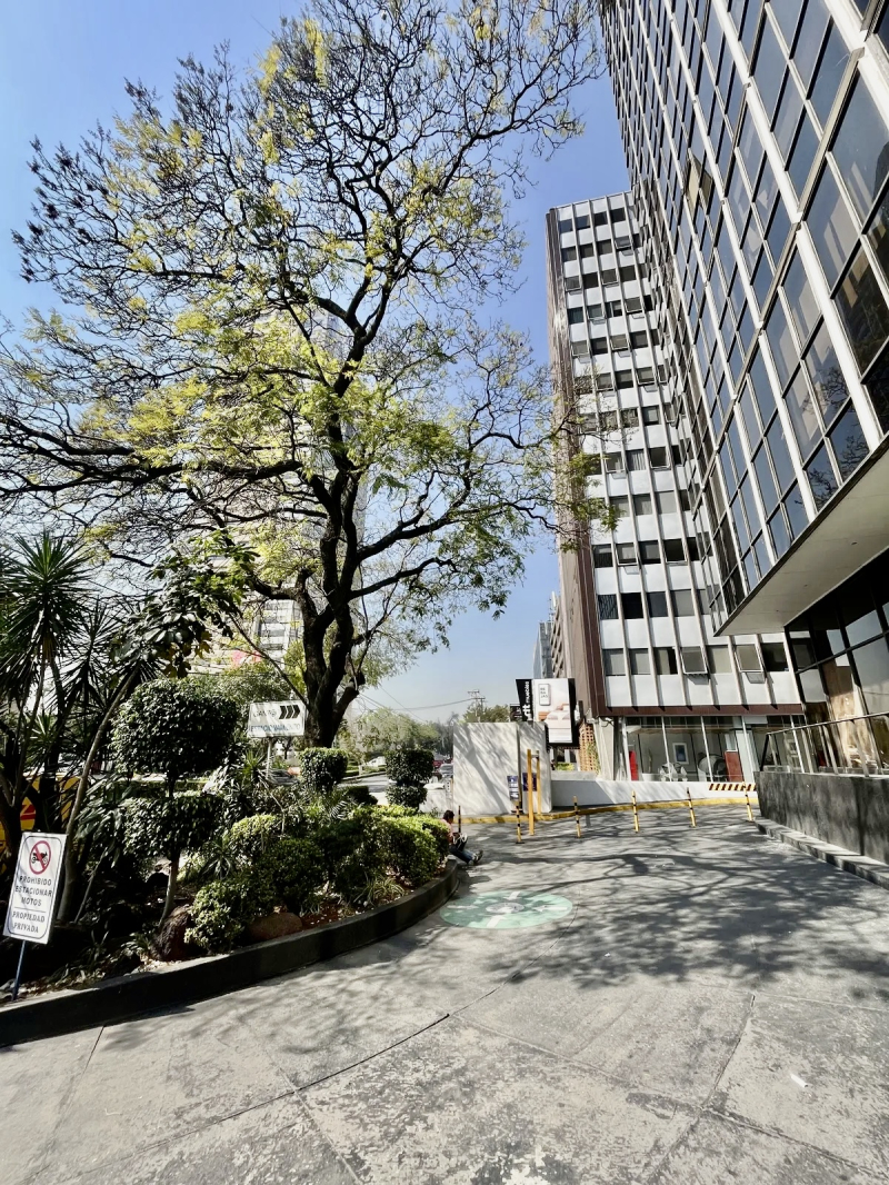 CONSULTORIO MEDICO En Venta En Lomas De Chapultepec