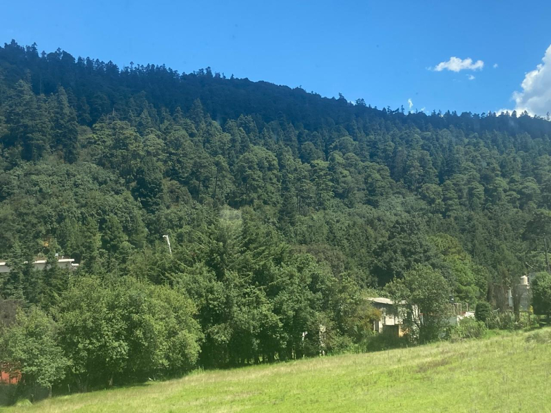 casa en venta en san lorenzo acopilco