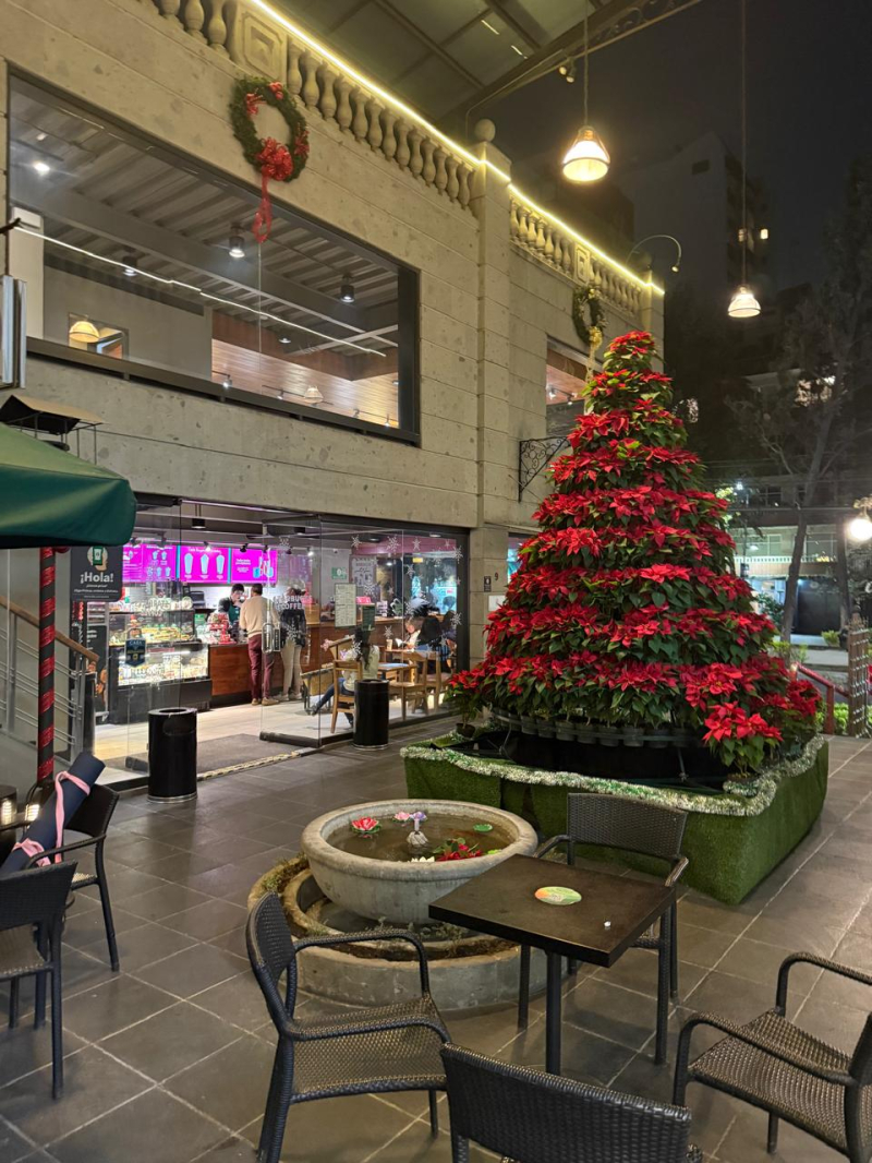 Local En Renta En Polanco 