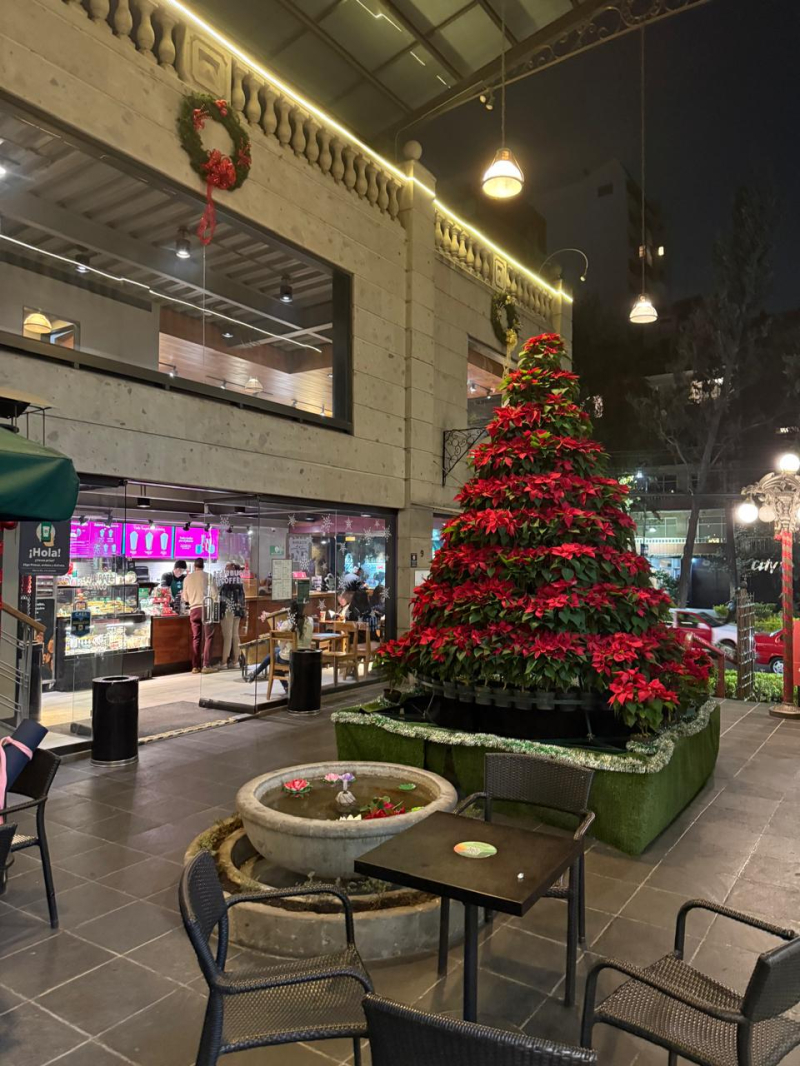 Local En Renta En Polanco 