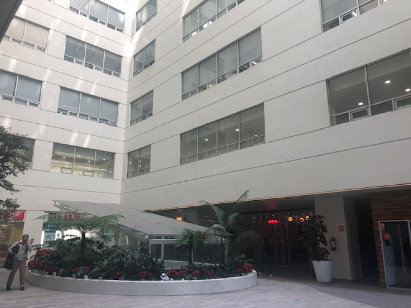 renta oficina en edificio corporativo colonia anahuac