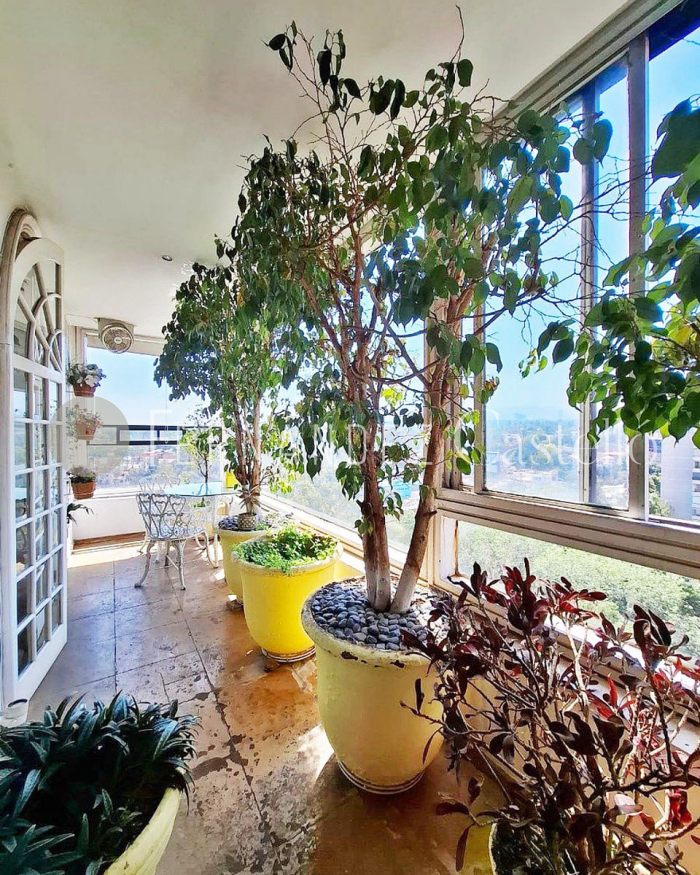 VENTA DEPARTAMENTO PALMAS CORINTO, LOMAS DE CHAPULTEPEC