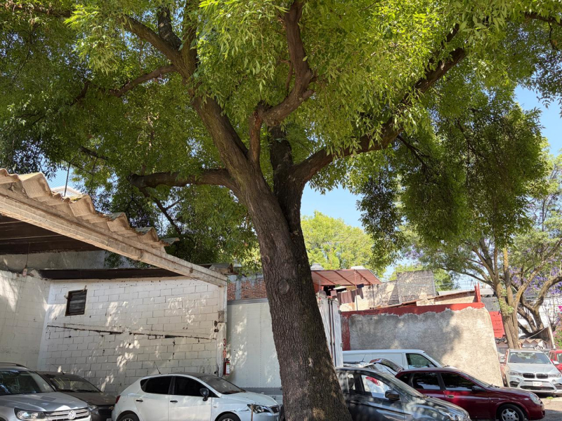 Terreno En Venta En Villa Coyoacán