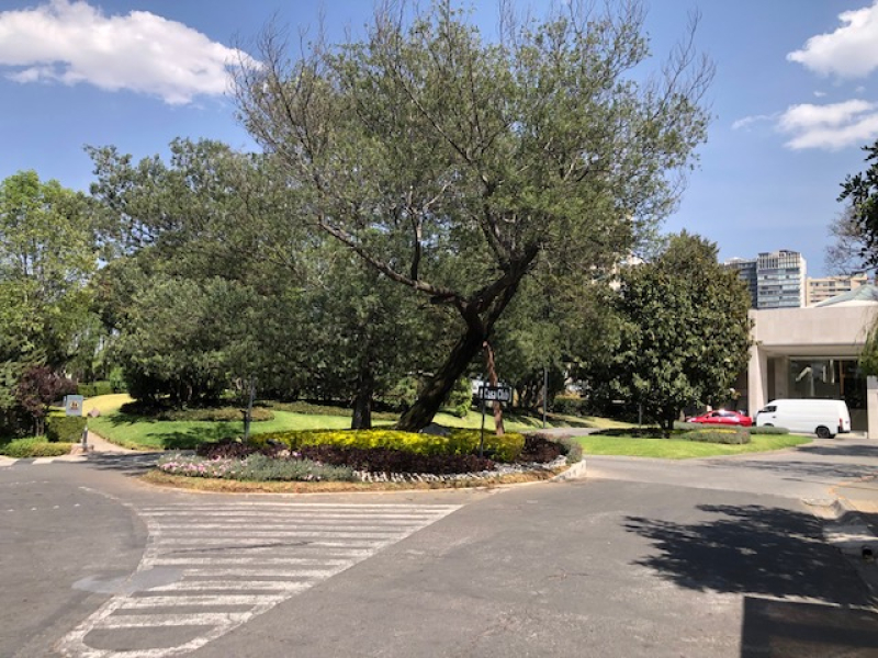 Departamento En Renta, En Lomas Anahuac, Frondoso 1