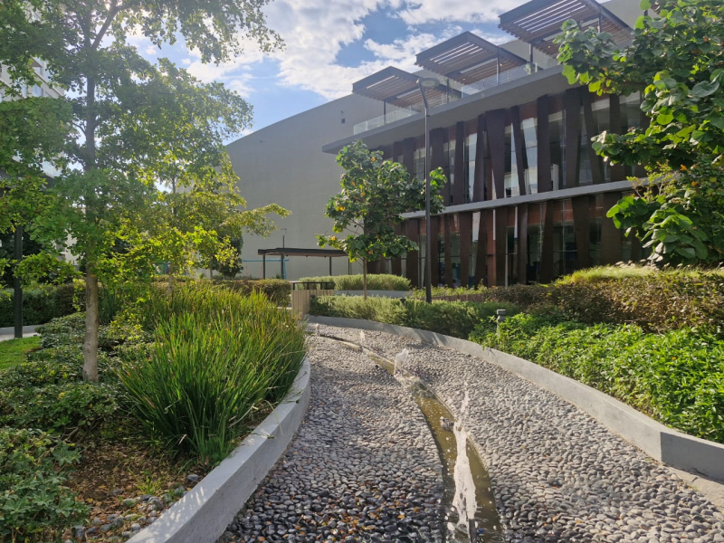 Departamento En Renta En Ciudad Del Sol