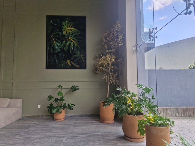 Departamento En Renta En Ciudad Del Sol