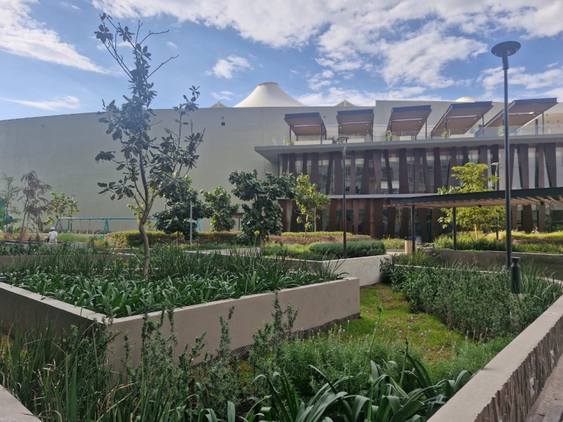 Departamento En Renta En Ciudad Del Sol