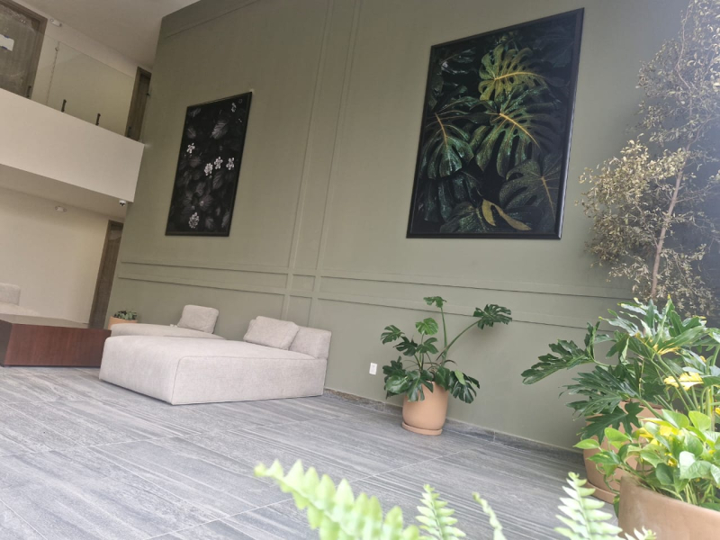 Departamento En Renta En Ciudad Del Sol