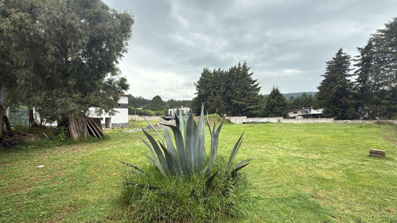 Terreno En Venta En Cerro Gordo