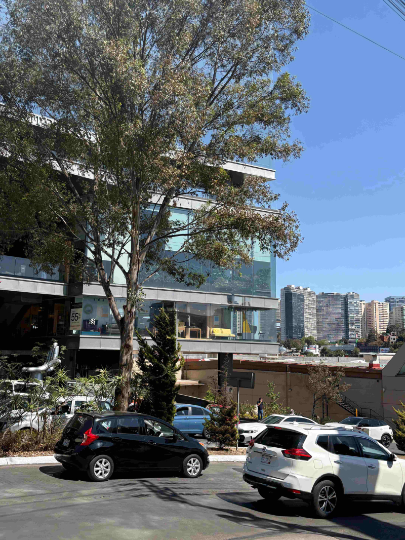 local comercial en renta en parques de la herradura