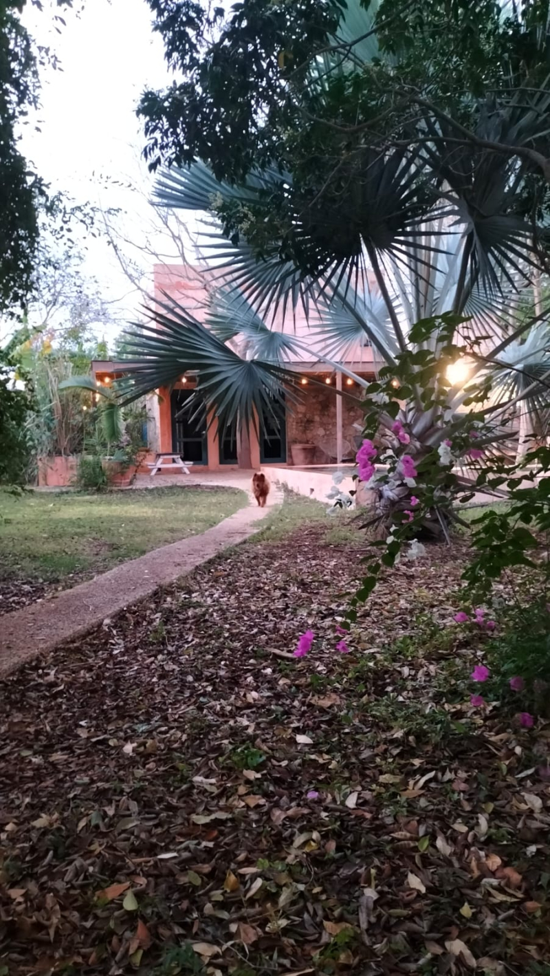 casa en venta en temozón norte 