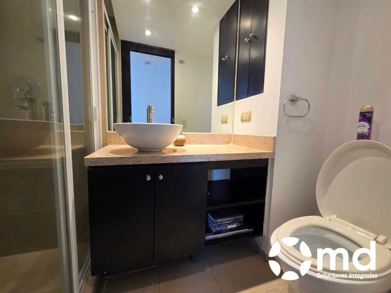 departamento exterior amueblado en renta en roma norte