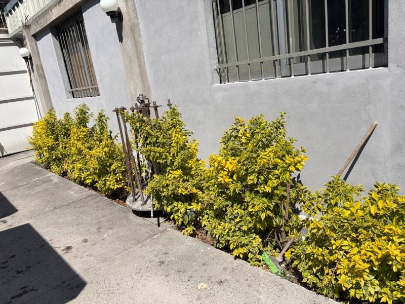 Local Comercial En Renta En Villa Coyoacán