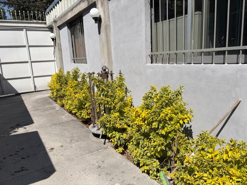 Local Comercial En Renta En Villa Coyoacán