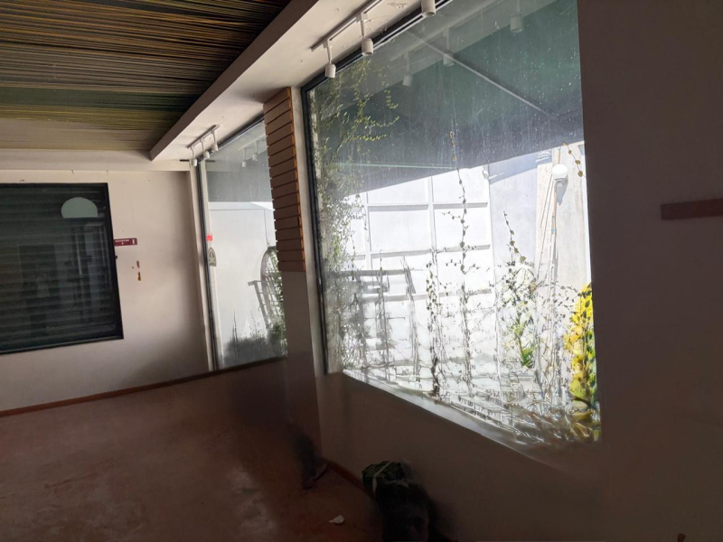 Local Comercial En Renta En Villa Coyoacán