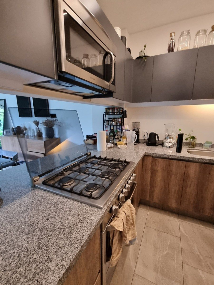 polanco, plinio departamento en renta