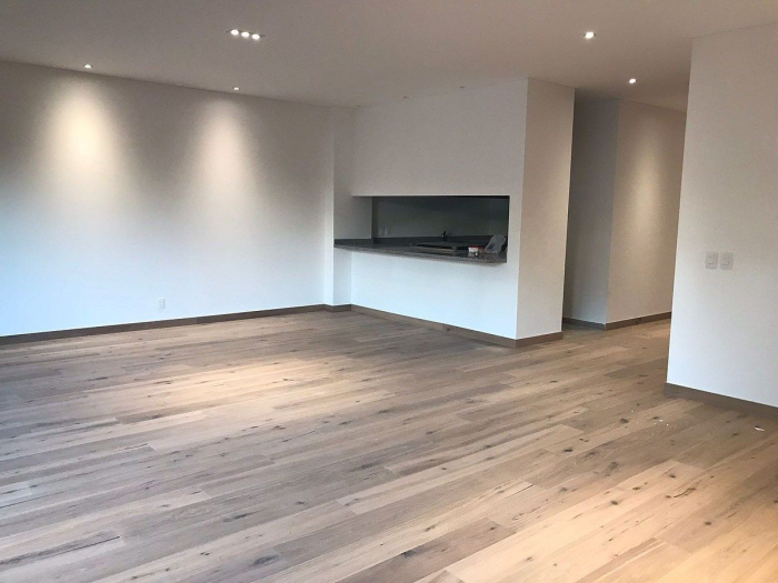 polanco, plinio departamento en renta