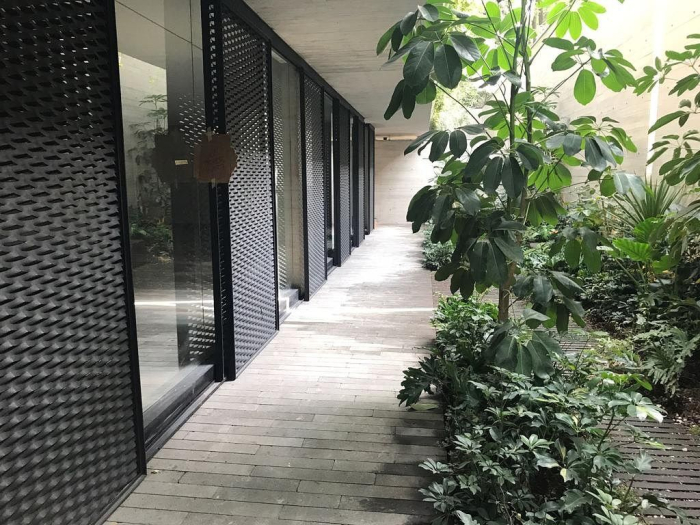 polanco, plinio departamento en renta