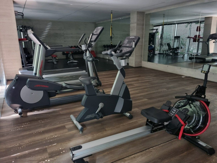 polanco, plinio departamento en renta