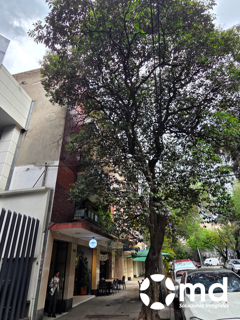 departamento amueblado y equipado roma norte balcón estancia corta desde 3 meses