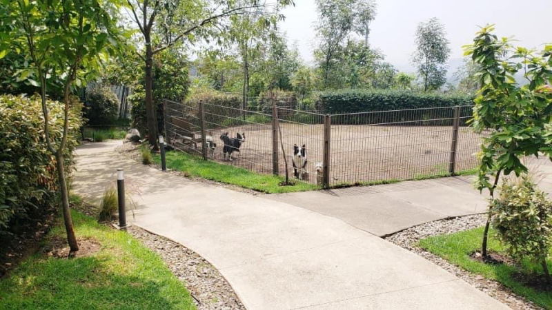 Departamento En Venta En Cittá San Jerónimo De 3 Recámaras Y Family 