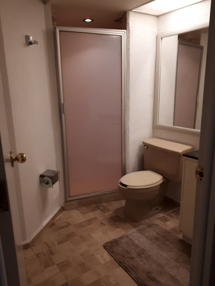 Polanco, Lagrange Departamento En Renta Amueblado