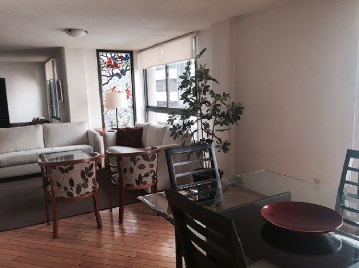 Polanco, Lagrange Departamento En Renta Amueblado