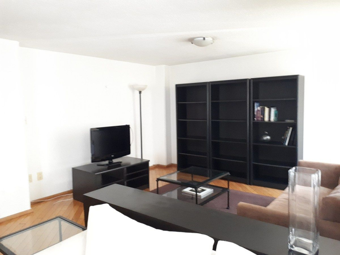 Polanco, Lagrange Departamento En Renta Amueblado