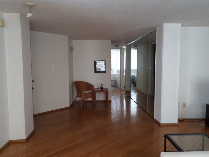 Polanco, Lagrange Departamento En Renta Amueblado