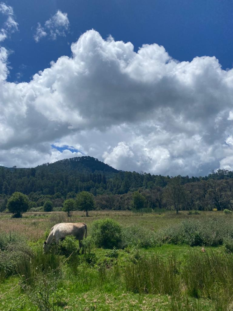 terreno en venta en amanalco de becerra 