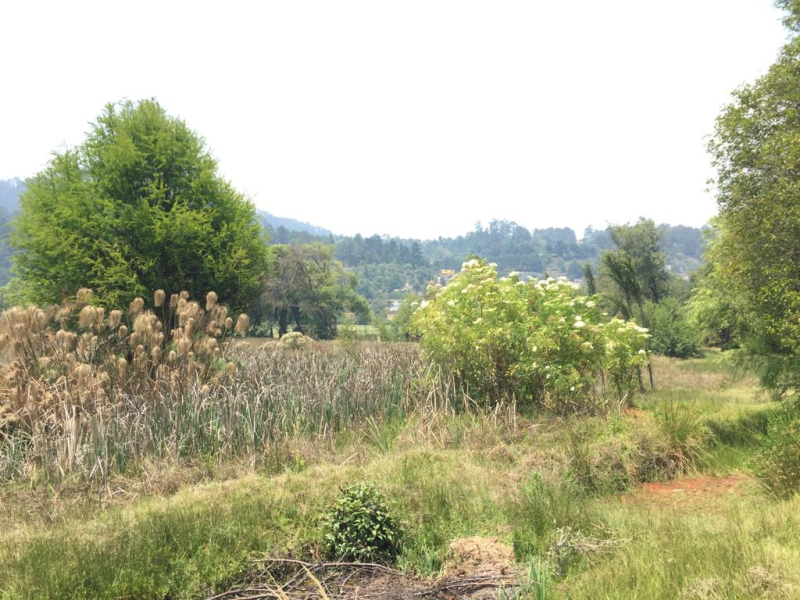 terreno en venta en amanalco de becerra 