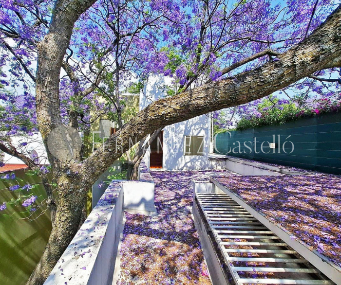 renta casa, santísimo san ángel, álvaro obregón