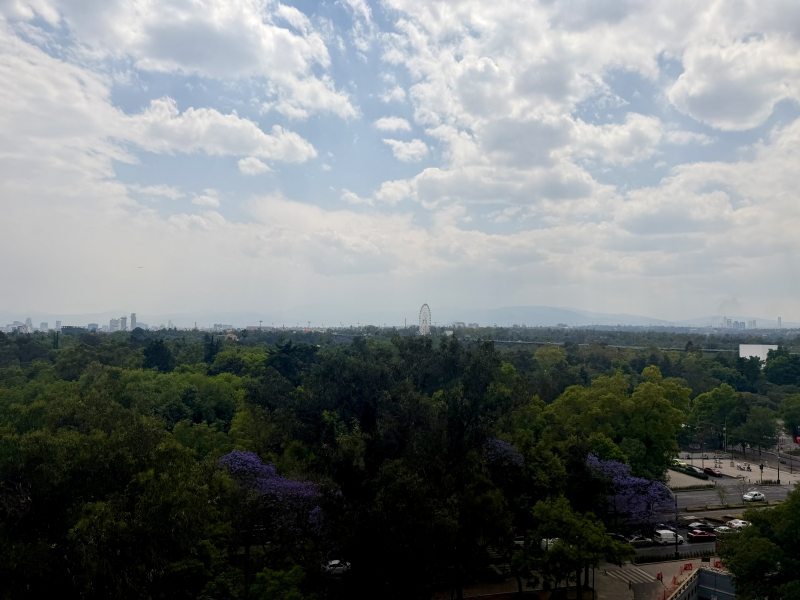 Departamento En Renta En Polanco