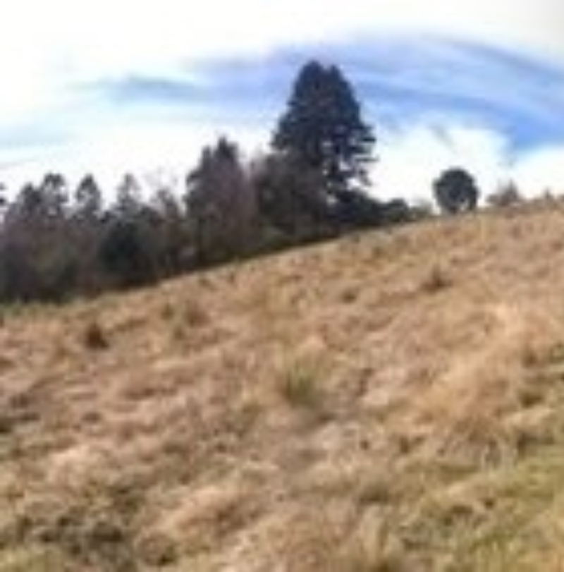 Terreno En Venta En El Guarda, Naucalpan 