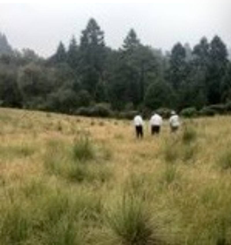 Terreno En Venta En El Guarda, Naucalpan 