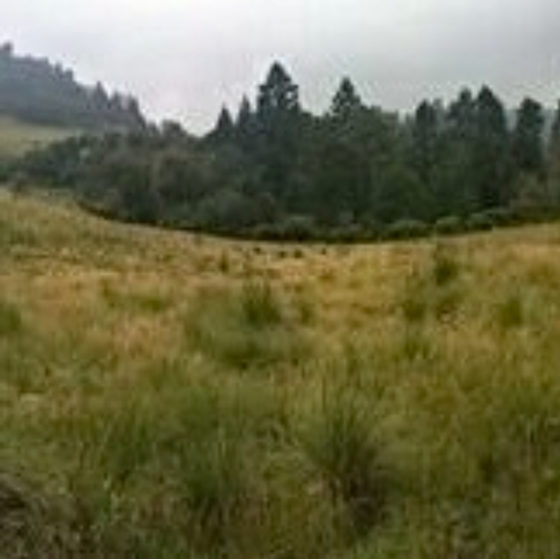 Terreno En Venta En El Guarda, Naucalpan 