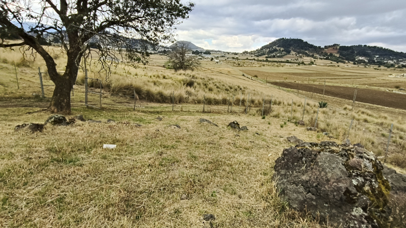 rancho en renta en el mirasol tianguistenco