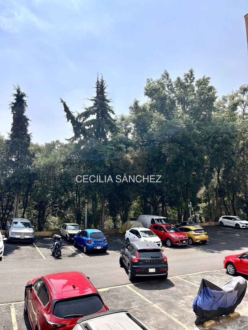 DEPARTAMENTO EN RENTA EN CA�?ADA DEL OLIVAR