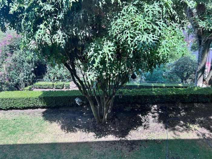 CASA EN VENTA EN LOMAS DE REFORMA